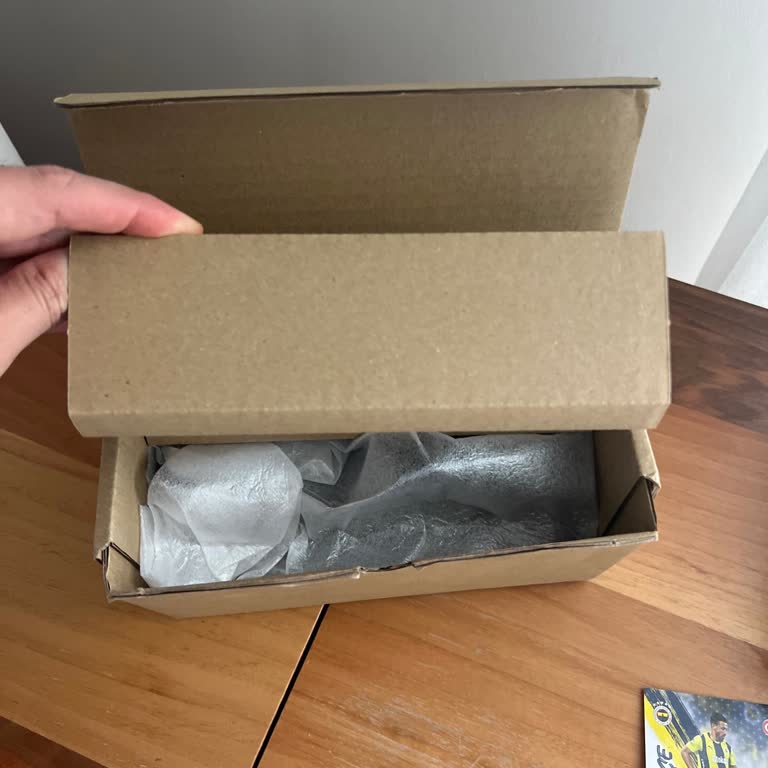 Açık Kutu Dyson Bataryası Değişim Talebi Ve Yetersiz Müşteri Desteği