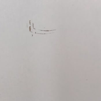 Çilek Mağazasındaki Hasarlı Ürünler Ve Uzun Süreli Cevapsızlık Şikayeti