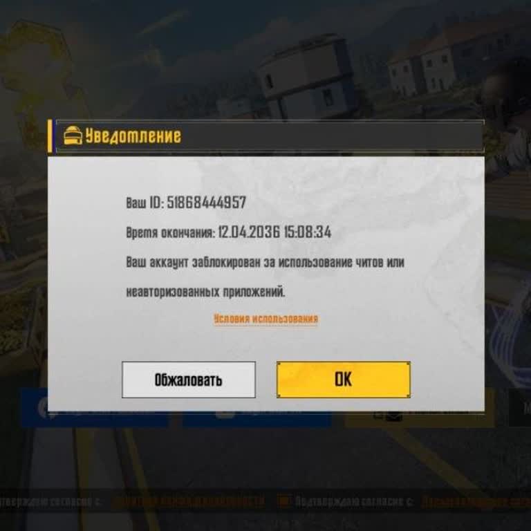 PUBG Mobile заблокировал аккаунт на 10 лет после ошибочного срабатывания — прошу вернуть доступ