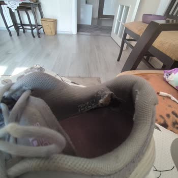 Ayıplı İç Astarı Delik Açan Ayakkabı İçin Ücret İadesi