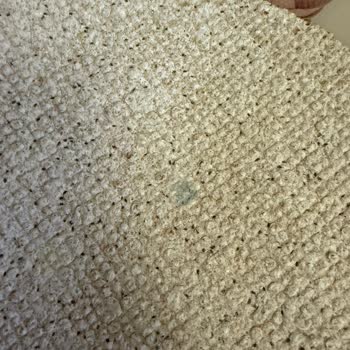 Fit Ekmek Lavaşında Küflenme Son Kullanma Tarihi Hâlâ Geçerli