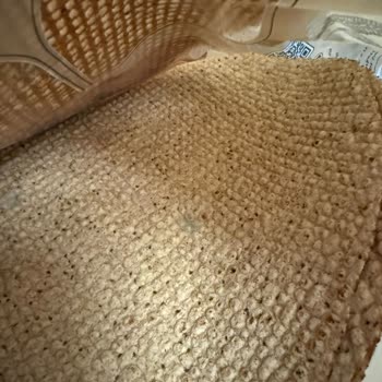 Fit Ekmek Lavaşında Küflenme Son Kullanma Tarihi Hâlâ Geçerli