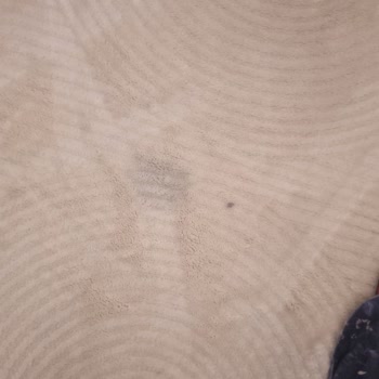 Simsiyah Su Akıtan Halı Yıkama Makinesi Servis Sorunları Ve Değişim Talebi