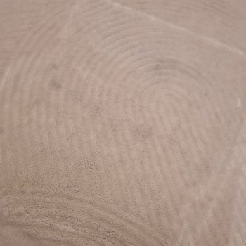 Simsiyah Su Akıtan Halı Yıkama Makinesi Servis Sorunları Ve Değişim Talebi