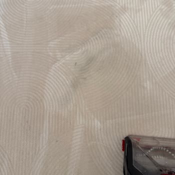 Simsiyah Su Akıtan Halı Yıkama Makinesi Servis Sorunları Ve Değişim Talebi