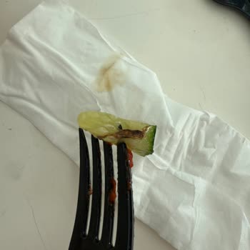 Köfteci Yusuf Yemekte Böcek Bulunması Ve Hijyen Sorunu