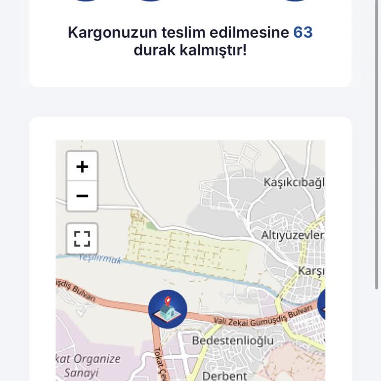 Sürat Kargo Tokat Merkez Şubesinde Teslimat Sorunları Ve Keyfi Uygulama Şikayeti