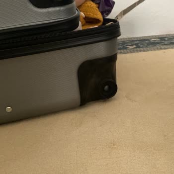 Anadolu Jet'te Tekrarlanan Valiz Hasarı Ve Yeni Valiz Talebi