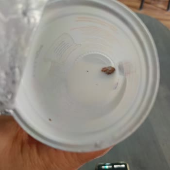 Yemeksepeti Ümraniye Köfteci Yusuf Ayranında Yabancı Madde Ve Gıda Güvenliği Sorunu