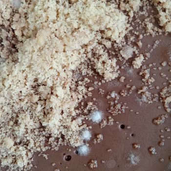 BİM Şubesinde Satılan Küflü Tatlı Sebebiyle Sağlık Riski Ve İade Talebi