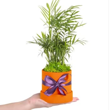 Sipariş Edilen Ürünle Gelen Ürün Uyumsuzluğu Ve Yetersiz Tazminat