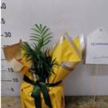 Sipariş Edilen Ürünle Gelen Ürün Uyumsuzluğu Ve Yetersiz Tazminat