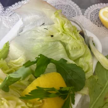 Çiğ Köfte İçinde Canlı Böcek: Hijyen İhlali Ve İade Talebi