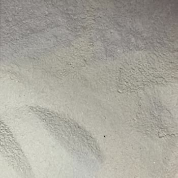 Protein Tozunda Yabancı Parçacıklar Ve Sağlık Endişesi