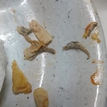 Siparişte Yanmış Ve Bozulmuş Gıda, Cevapsız İade Talebi