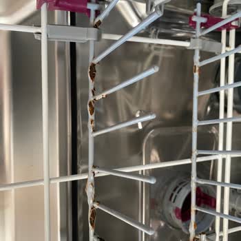 Arçelik Bulaşık Makinesinin Alt Sepeti Paslandı Sağlık Riski Ve Ücretsiz Değişim Talebi