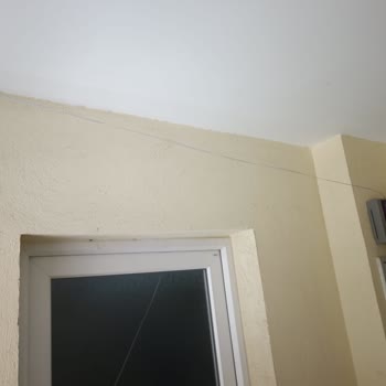 Kısa Ve Gergin Kablo, Telefon Desteği Eksikliği