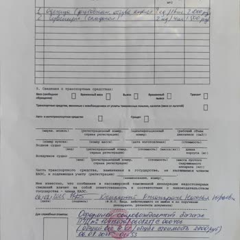 Southwind Airlines Kayıp Bagajı İçin Açıklama Ve Tazminat Talebi