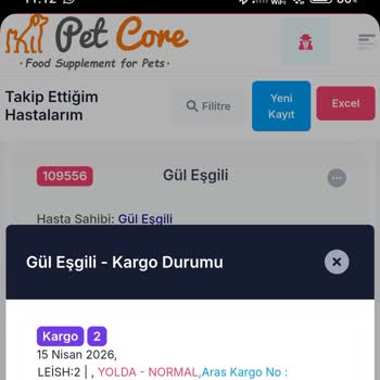 Acil Köpek İlacı Yanlış Şubeye Yönlendirildi, Teslim Gecikti