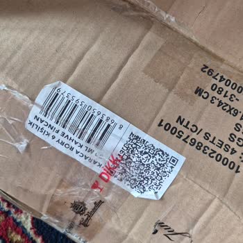 Karaca Tost Makinesindeki Tekrarlanan Servis Hataları Ve Ücret İadesi Talebi