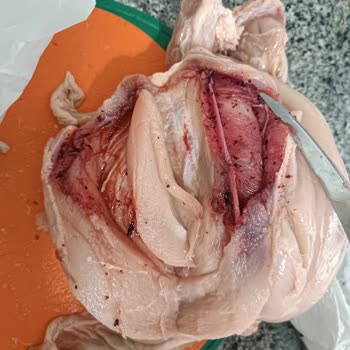 A101 Çorlu Şubesinde Hastavuk Tavuk Ürününün Kanlı Ve Pıhtılaşmış Olması