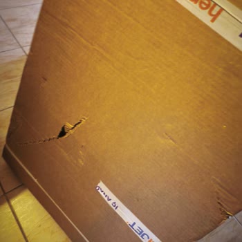 Hasarlı Koli Ve Endişe Yaratan Müşteri Hizmetleri