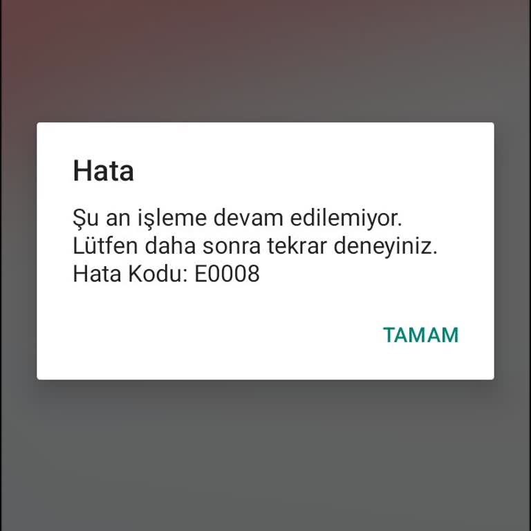 E-Görüş Sistemi E0008 Hata Kodu Giriş Sorunu Aile İletişimini Kesiyor