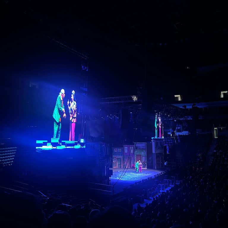 Kısmi Görüşlü 1. Kategori Biletlerde Yanıltıcı Bilgilendirme Ve İade Talebi