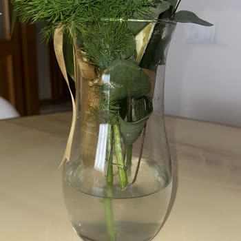 Solmuş Çiçek Teslimatı İçin Tam Ücret İadesi Talebi