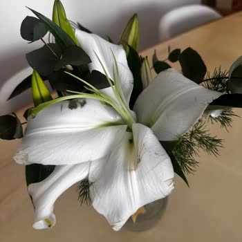 Solmuş Çiçek Teslimatı İçin Tam Ücret İadesi Talebi