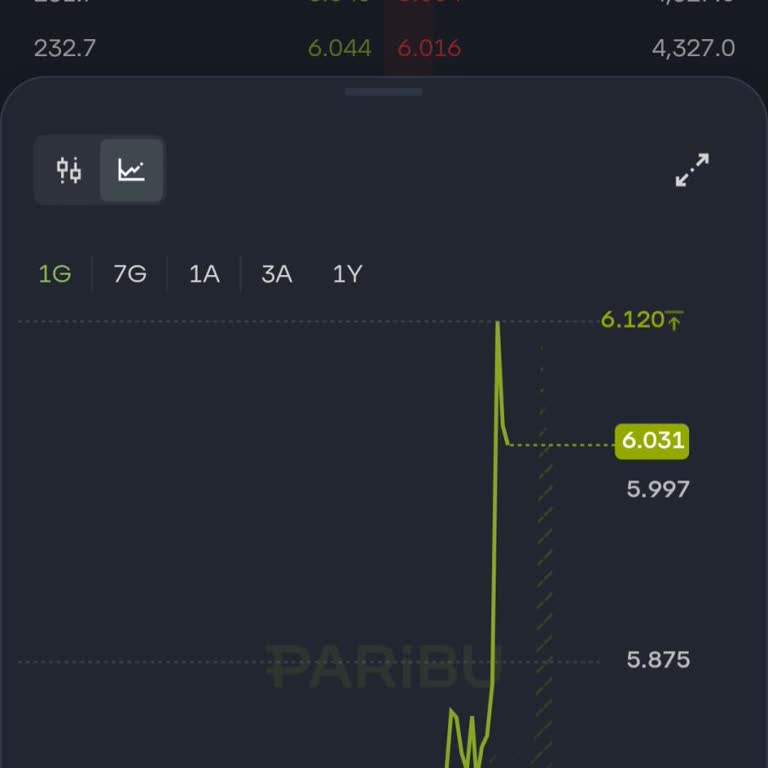 Paribu’da Sistemsel Hata Nedeniyle 12.000 TL’lik Zarara Uğradım Ve Destek Alamadım