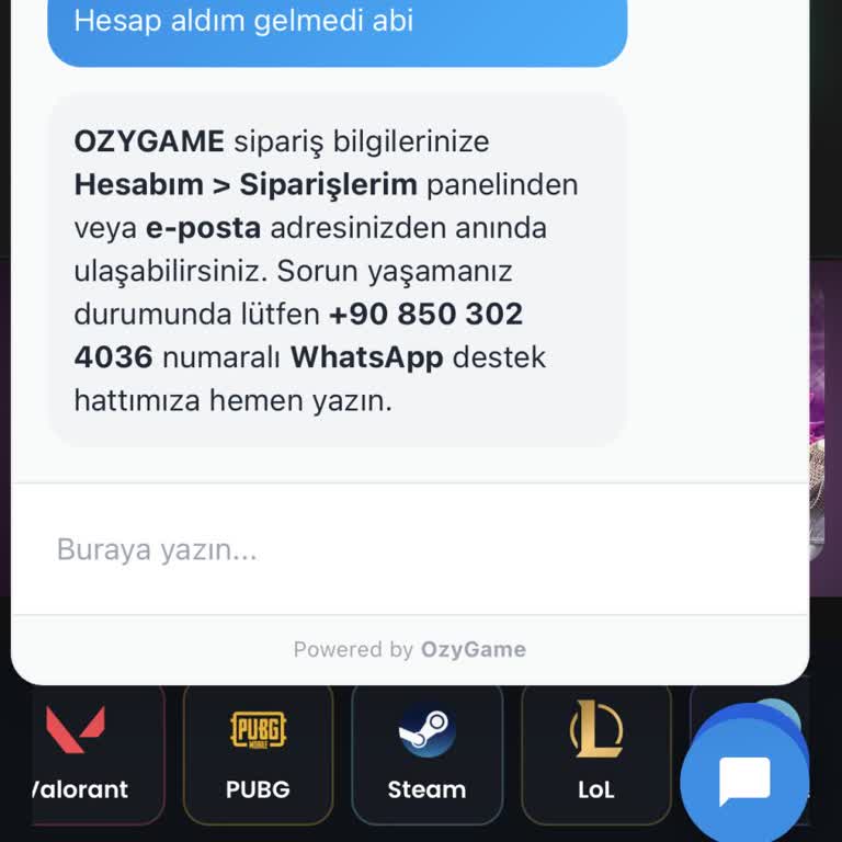 Ödenen 142 TL Karşılığında Valorant Hesabı Teslim Edilmedi