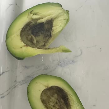 Migros’ta İndirimli Avokadolar Olgunlaşmadı Ve Bozuldu
