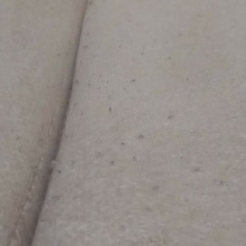 Kumaş Tüyleri Kalktı, Leke Tutuyor; Yetkili Yardımcı Olmadı Ve Garanti Şartları İhmal Edildi