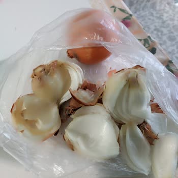 Migros Çukurova Şubesinde Kuru Soğan Çöpe Atılacak Durumda