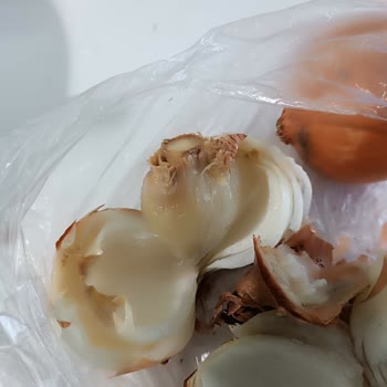 Migros Çukurova Şubesinde Kuru Soğan Çöpe Atılacak Durumda