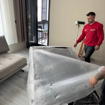 Broken Sofa Delivered By Enza Home After Long Delay