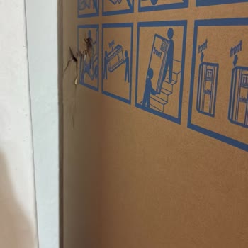 Ayıplı Beko Buzdolabı Değişiminde 14 Günlük Teslimat Gecikmesi