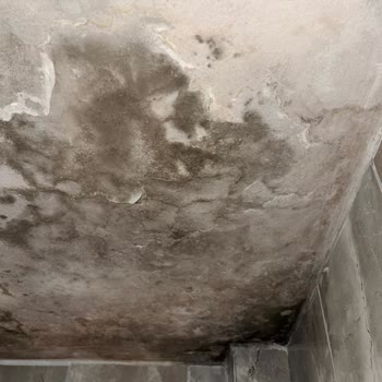 Konut Sigortamda Su Sızıntısı Hasarı Karşılanmadı Ve Dosyalar Karıştırıldı