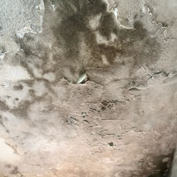 Konut Sigortamda Su Sızıntısı Hasarı Karşılanmadı Ve Dosyalar Karıştırıldı