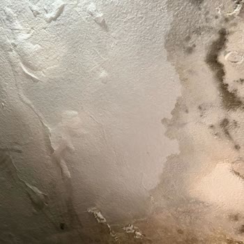 Konut Sigortamda Su Sızıntısı Hasarı Karşılanmadı Ve Dosyalar Karıştırıldı