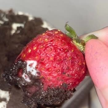 Gıda Güvenliği İhlali: Küflü Çilekli Pasta Ve İade Reddi