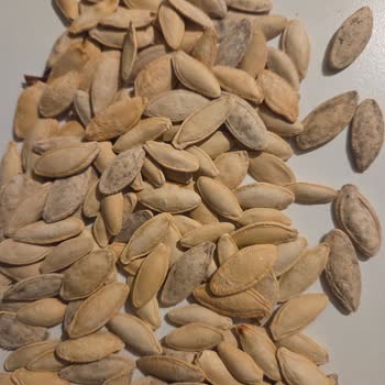 Boş Ve Küflü Kabak Çekirdeği Paketi: Sağlık Riski Ve Ücret İadesi Talebi