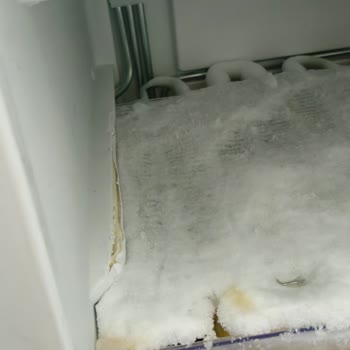 Profilo Derin Dondurucuda Sürekli Buzlanma Ve Raf Yarıklığı Sorunu