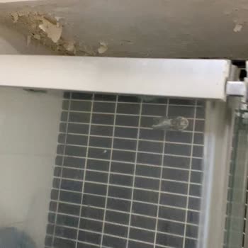 Walk In Otel’de Tahtakurusu Ve Hijyen Sorunları Sağlık Riskine Yol Açtı