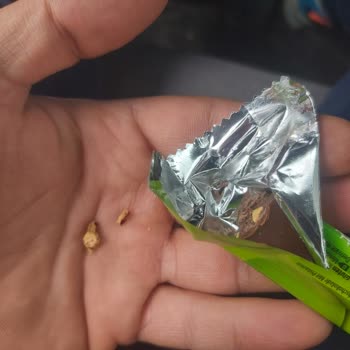 Çikolata İçinde Kabuk Çıktı, Dişim Zarar Gördü Ve Eti'den Cevap Alamadım