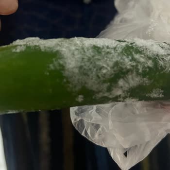 Arçelik Buzdolabında Sebzelik Sürekli Buzlanıyor, Garanti Sürecinde Değişim Reddediliyor