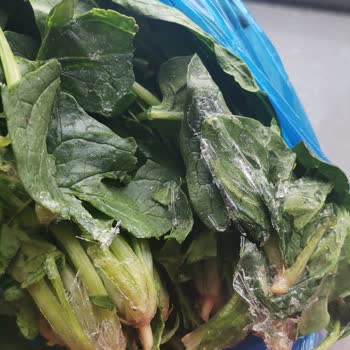 Arçelik Buzdolabında Sebzelik Sürekli Buzlanıyor, Garanti Sürecinde Değişim Reddediliyor