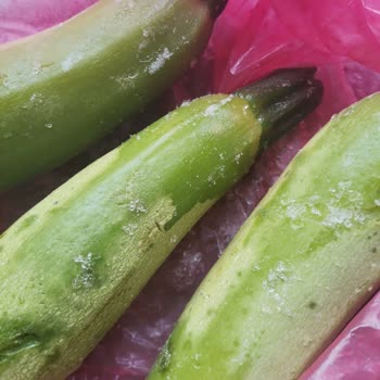 Arçelik Buzdolabında Sebzelik Sürekli Buzlanıyor, Garanti Sürecinde Değişim Reddediliyor