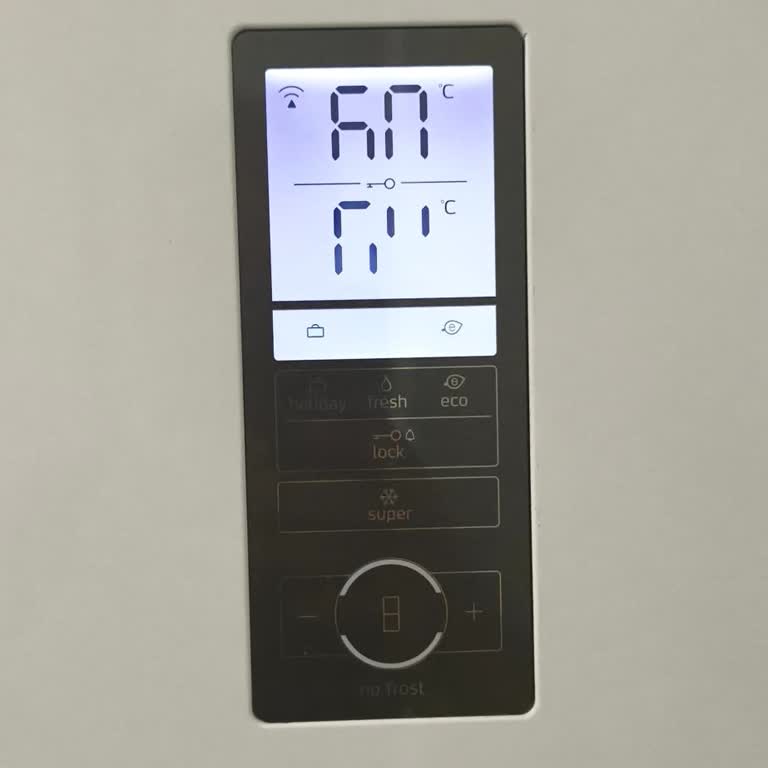 Profilo Buzdolabında Gösterge Paneli Sorunu Yanıp Sönme Ve Yarım Rakamlar